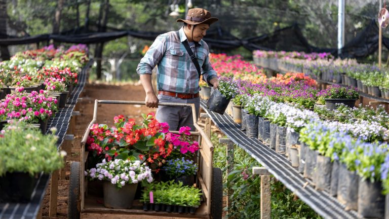 The Easiest Way To Recycle Your Plastic Nursery Pots